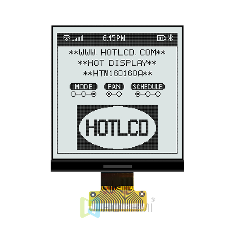 160x160 Monochrome LCD FSTN COG Graphic Display Module