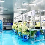 Focus on R&D and Strong Innovation