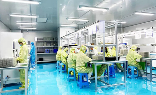 Focus on R&D and Strong Innovation
